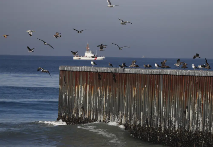 Government attributes deaths of hundreds of birds in Mexico to El Niño, not avian flu